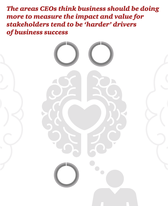 CEO_Survey_Measuring_Success_01