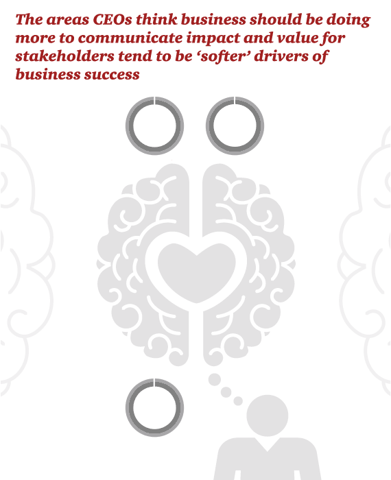 CEO_Survey_Measuring_Success_03