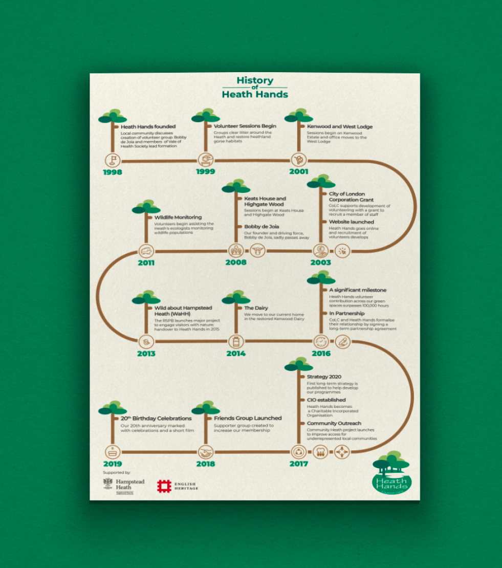 Infographic Design13