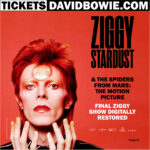 Ziggy50