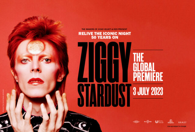 Ziggy508